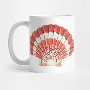 hand drawn lesser scallop shell Mug